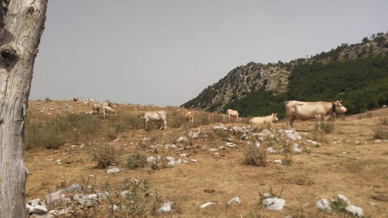 Mille E Una Notte San Severino Lucano Bagian luar foto