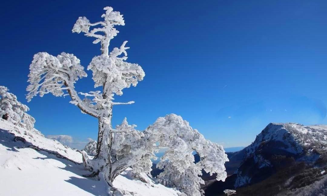 Mille E Una Notte San Severino Lucano Bagian luar foto